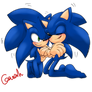 AT:Cuddling Double Sonic