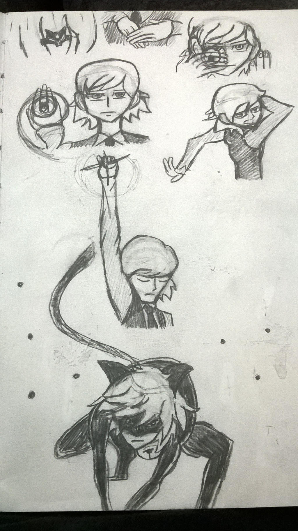 Miraculous Ladybug 2D Transformation by Merluv05 on DeviantArt