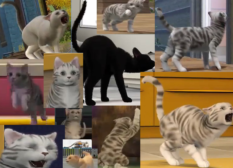 Sims 3 Cat Pattern Sims 3 Pets Cats Collage by kmdogs97 on DeviantArt