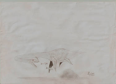 Ikessauro: Pterodactylus