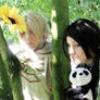 APH - Sunflowers and Pandas