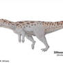 Sillosuchus longicervix 