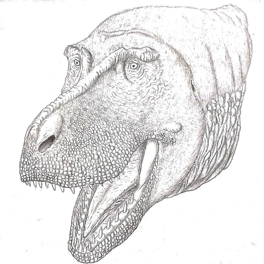 Tyrannosaurus rex (head portrait) by RaresAnimals on DeviantArt
