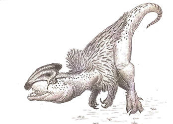 New Dilophosaurus  by RaresAnimals