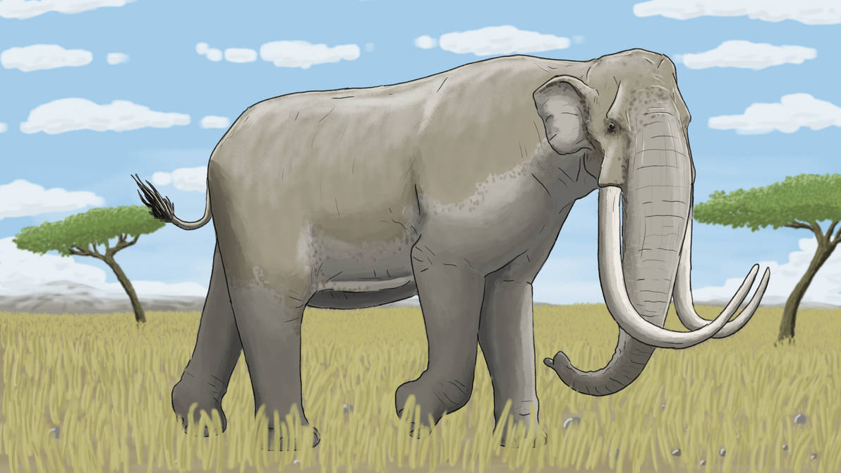 Mammuthus africanavus by RaresAnimals on DeviantArt