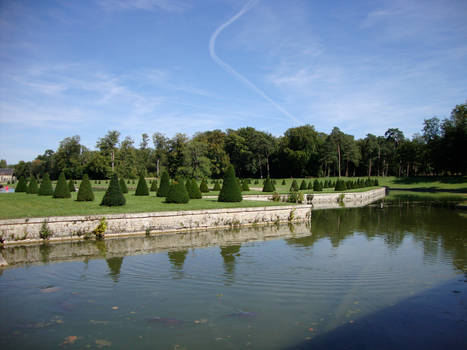 Little Trees Near the Water