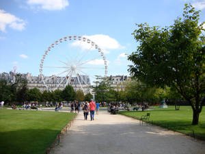 Ferris Wheel