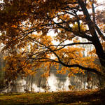 Autumn 3 by Talestriss