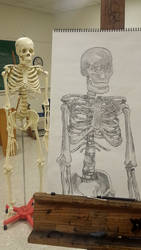 Skeletal Project part 1