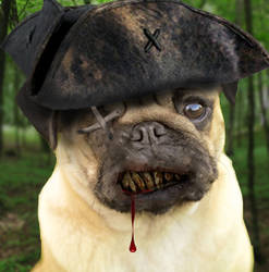 evil pug