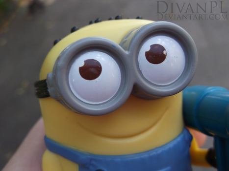 Minion 1