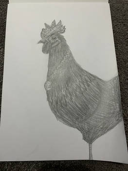 Gangster rooster 