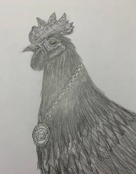 Gangster rooster with his necklace 