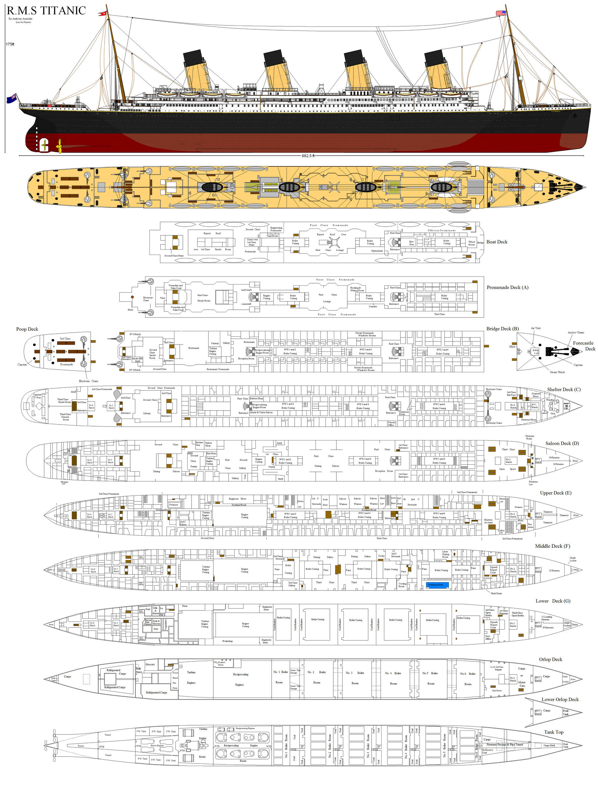 Ship's Size Rms Rms Titanic Profile Cutaway Titanic Ship Rms Titanic Titanic