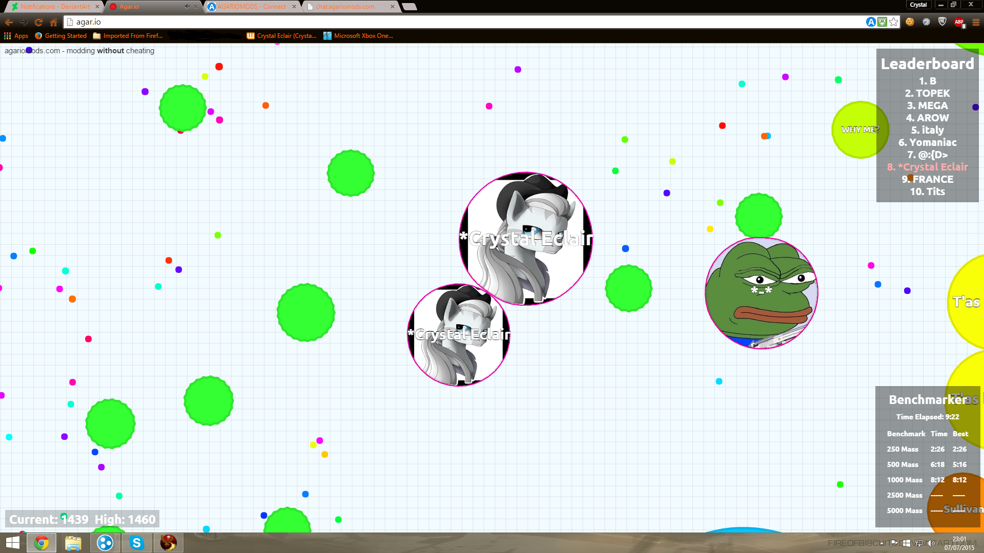 Agar.io, Software