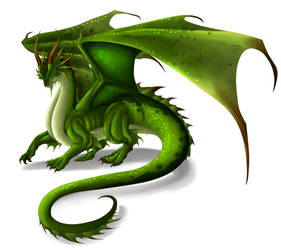 Green Dragon