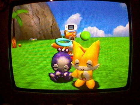 Hero Chao and Tailschao petted