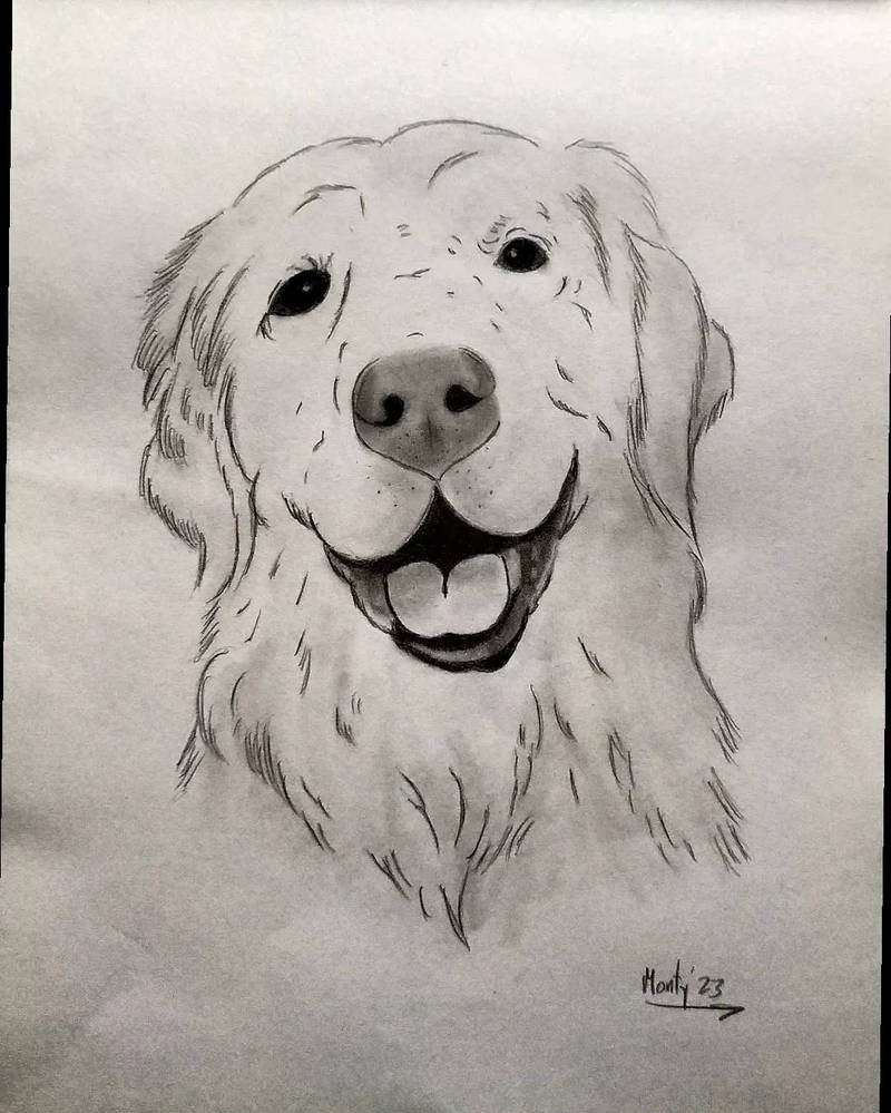 The Golden Retriever,the docile, good-natured and by drawandmonty on ...