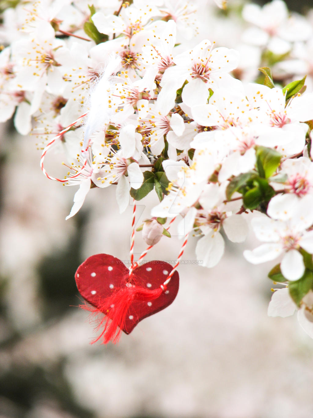 Красивое весеннее сердце. Цветы сердечки. Любовь весной.