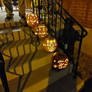 2024 Pumpkins