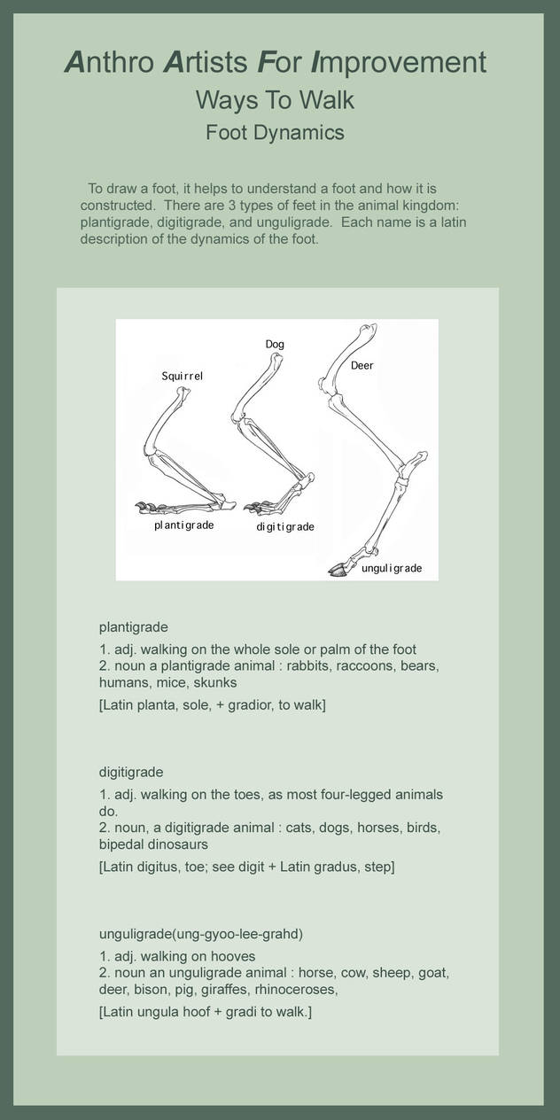 Ways to Walk - Foot Dynamics by littlekittenlost on DeviantArt