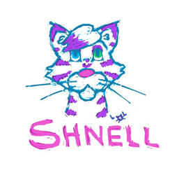 Shnell Sketch