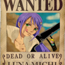 .:One Piece OC Michi Wanted:.