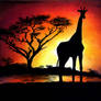 African sunset