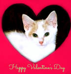Valentine Kitty by bewilderedconfused