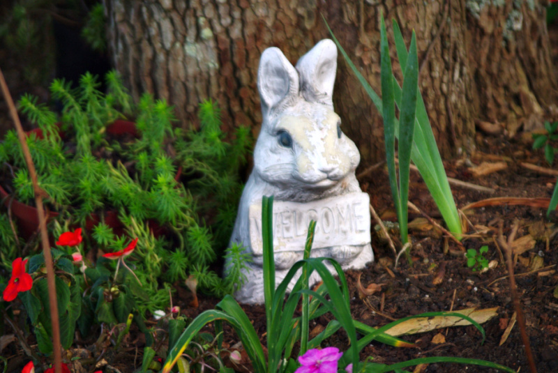 Bunny Statue