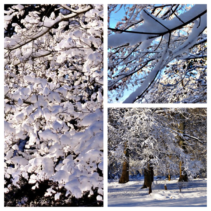 Snowcollage