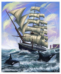 Orcas with ship