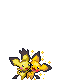 Notched Ear and Shiny Pichu