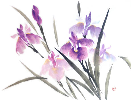 Sumie irises