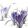 [Sumie] Crocuses