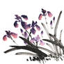 [Xieyi] Irises