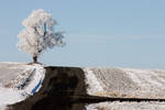 I. . . Stand Alone 2 by rdw283