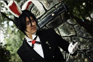 Ciel in Wonderland: White Rabbit