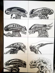 #protomorph | Explore protomorph on DeviantArt