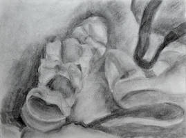 Charcoal Drawing of Shoes