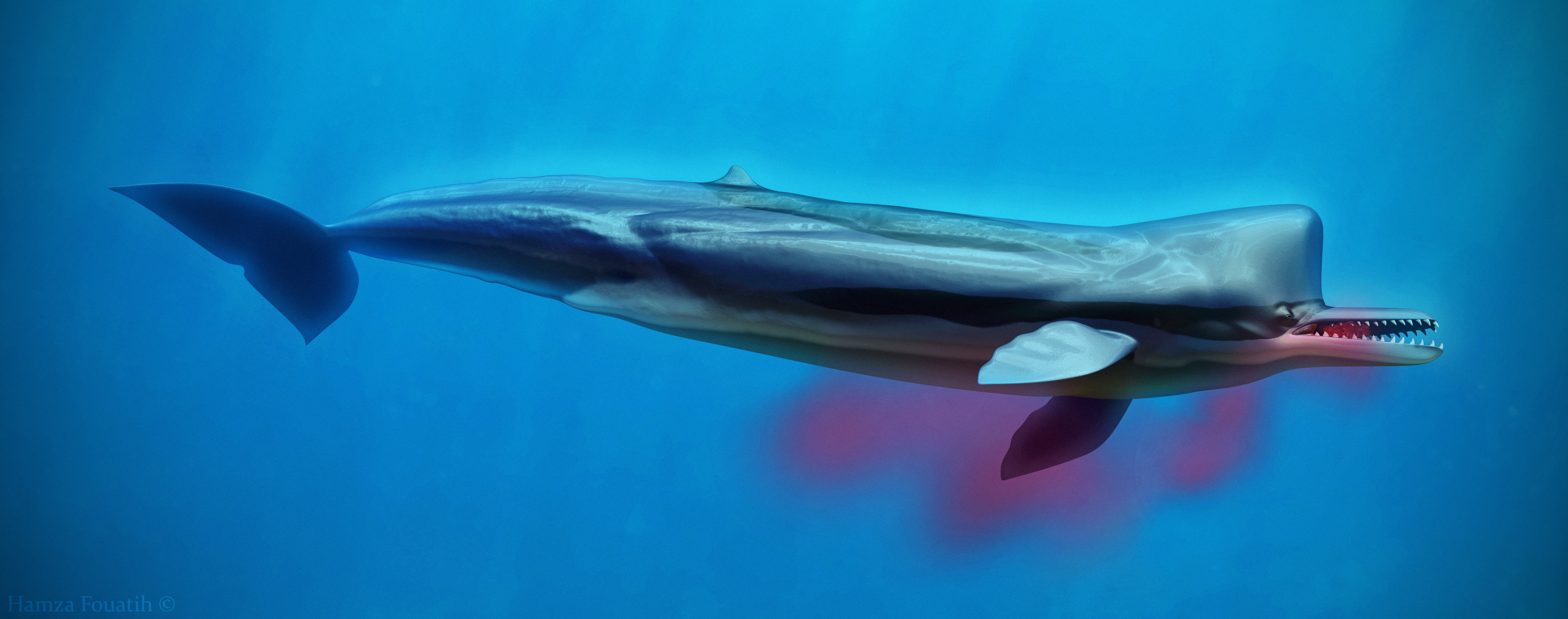 Killer sperm whale