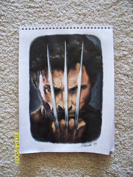 Wolverine Colored Pencil