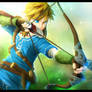 The Legend of Zelda WiiU - The new Hero