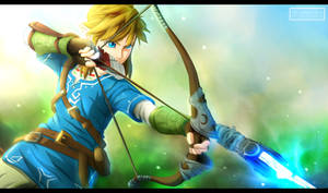 The Legend of Zelda WiiU - The new Hero