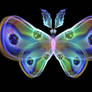 Fractal Butterfly 002