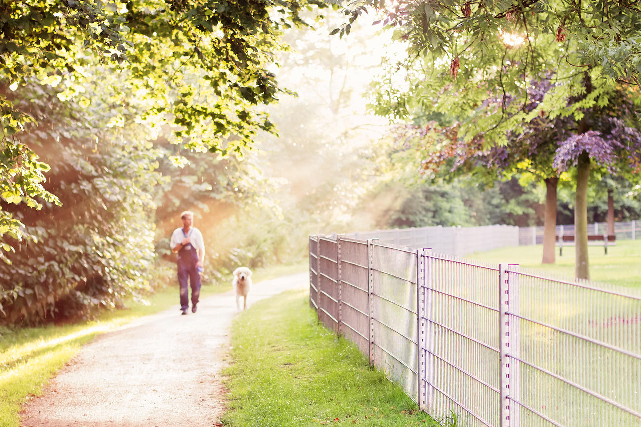 A Walk In The Park