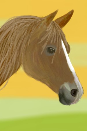 Horse drawing