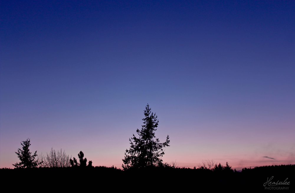 Sunset in winter