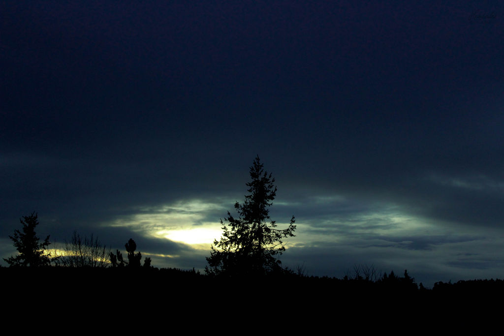 Dark Skies and Sunset