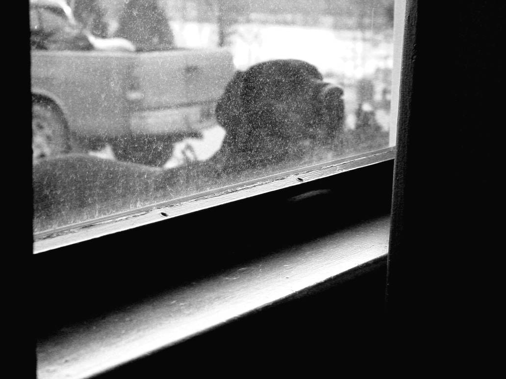 Window Lab by sjett on DeviantArt